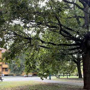 Grace's House - Milan & Rho Fiera , Vittuone Italia